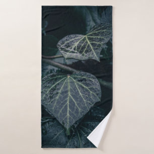 Dark Moody Ivy Nature Photo