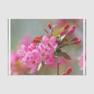 Dark Pink Cherry Blossom Tissuepapier