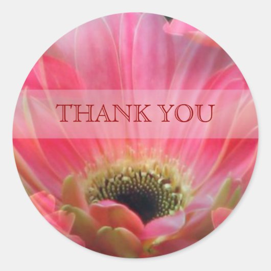 Dark Pink Gerbera daisy Bedankt Sticker (Voorkant)