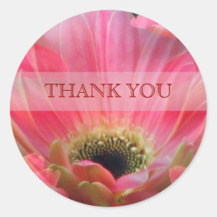 Dark Pink Gerbera daisy Bedankt Sticker