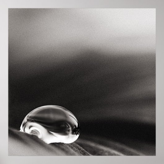 Dark Rain Poster (Voorkant)