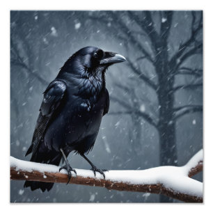 Dark Raven Black Bird Foto Afdruk