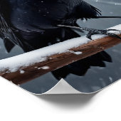 Dark Raven Black Bird Poster (Hoek)