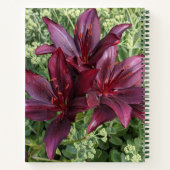Dark Red Asiatic Lilies Floral Notitieboek (Achterkant)