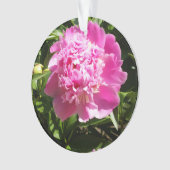 Dark rose peonies (devant)