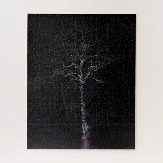 Dark Side 3 16x20 520pc jpa Legpuzzel (Verticaal)