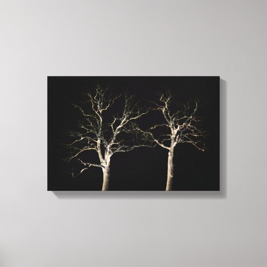 Dark Side 9 16.50x11 (41.25x27.5cm) wacm Canvas Afdruk (Voorkant)