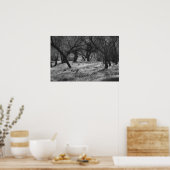 DarkTrees in een Meadow (b/w) Poster (Keuken)
