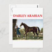 darley arabian briefkaart (Voorkant / Achterkant)
