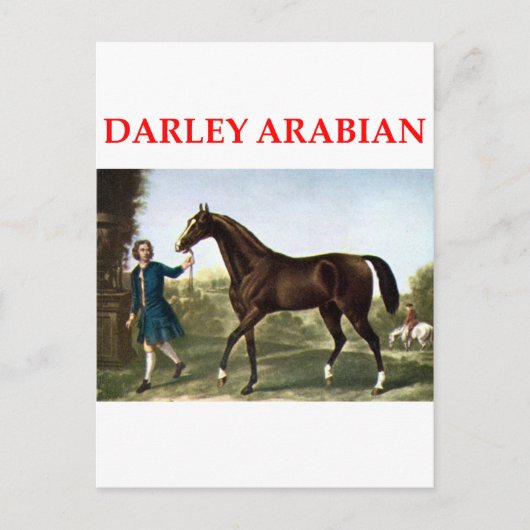 darley arabian briefkaart (Voorkant)