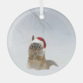 Darling Chipmunk Candy Cane and Santa Hat Glas Ornament (Voorkant)