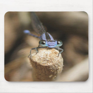 Darling Damselfly (1) Mousepad Muismat