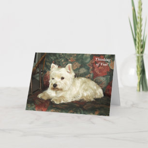Darling West Highland Terrier denkt aan je Kaart