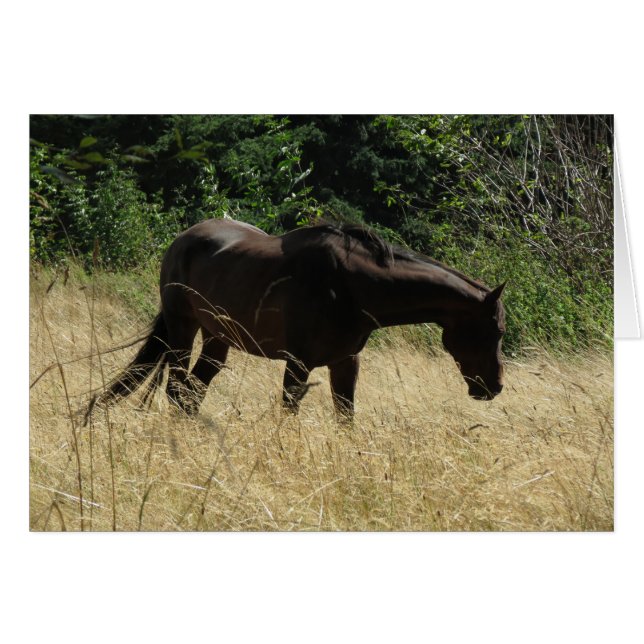 Darma Meditation (Voorkant Horizontaal)