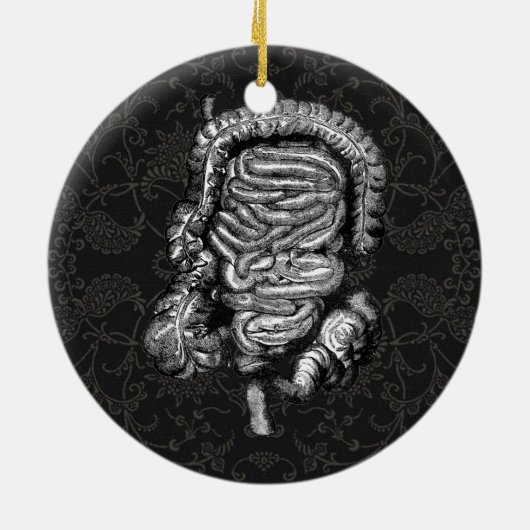 DARMDIAGRAM KERAMISCH ORNAMENT (Achterkant)