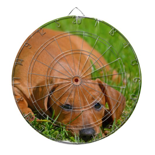 Dart Board - Gepersonaliseerd Dartbord (Voorkant)