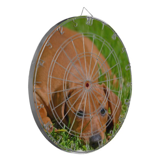 Dart Board - Gepersonaliseerd Dartbord (Voorkant Links)