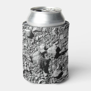DART Dimorfos Asteroïde Moonlet Surface Blikjeskoeler