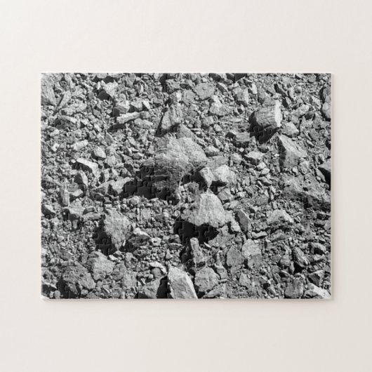 DART Dimorfos Asteroïde Moonlet Surface Legpuzzel (Horizontaal)