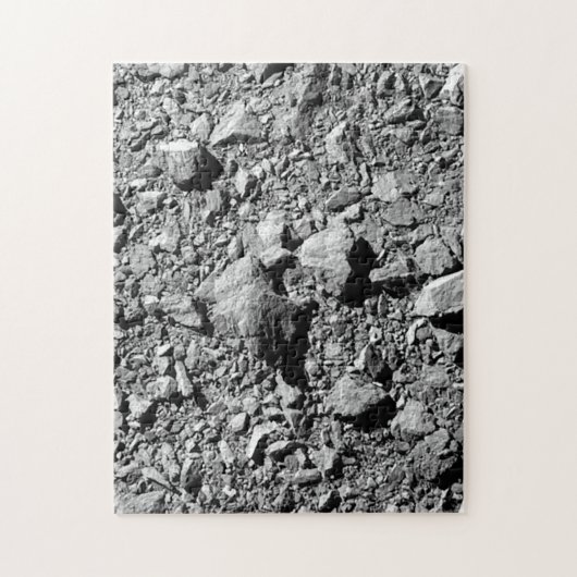 DART Dimorfos Asteroïde Moonlet Surface Legpuzzel (Verticaal)