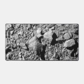 DART Dimorphos Asteroid Moonlet Surface (Recto)