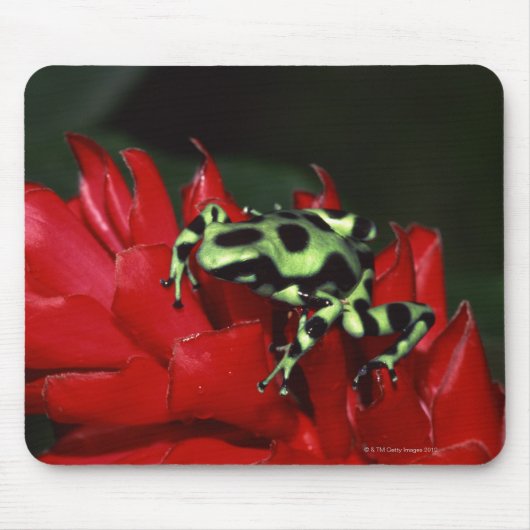Dart frog 2 muismat (Voorkant)
