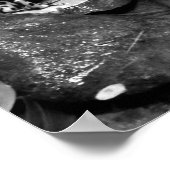 Dart Frog Friends B+W Poster (Hoek)