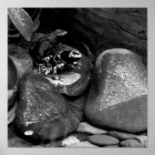 Dart Frog Friends B+W Poster (Voorkant)