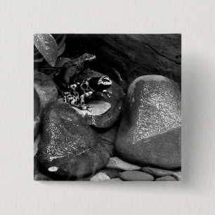 Dart Frog Vrienden B+W Vierkante Button 5,1 Cm
