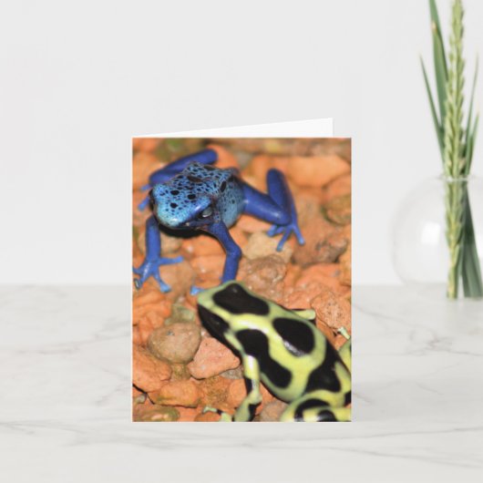 Dart Frogs Note Kaart (Voorkant)