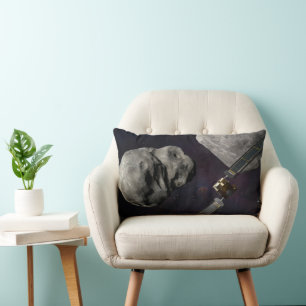 DART-ruimteschip en de Liciacube vóór de botsing Kussen