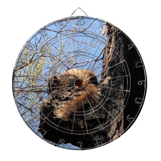 Dartboard Dartbord (Voorkant)