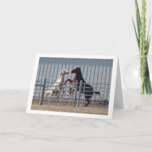 Dartel Paarden, Valentijnsdag Feestdagen Kaart