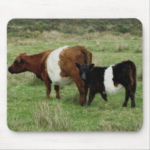 Dartmoor Belted Galloway Cow en Calf Muismat