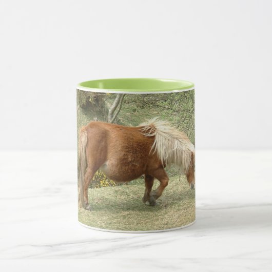 Dartmoor Horse, England Tea/Coffee Mok (Midden)
