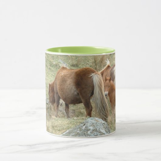 Dartmoor Horses, Mok in Engeland, thee/koffie (Midden)