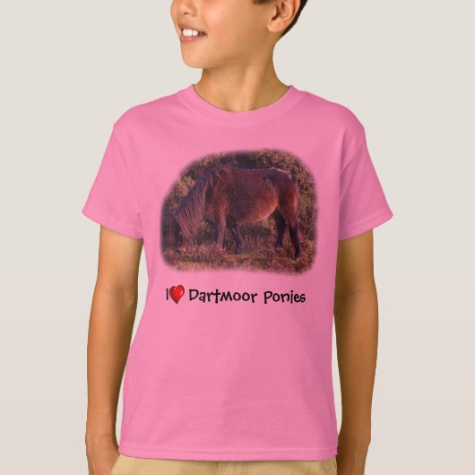 Dartmoor Ponies t shirt (Voorkant)