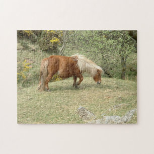 Dartmoor Ponny, Wild English Horses /UK Legpuzzel