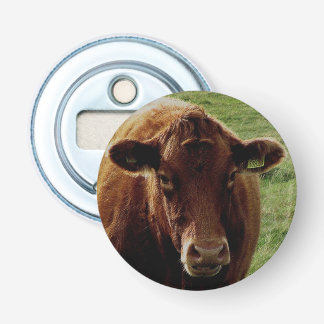 Dartmoor South Devon Cow Kijken Button Flesopener