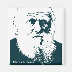 Darwin Afbeelding. Magneet