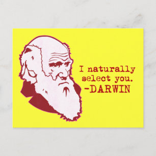 Darwin Briefkaart