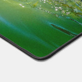 Darwin - Crocodile d'eau salée (Coin)