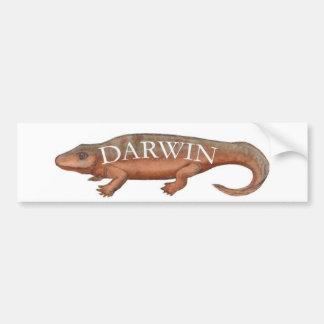 Darwin Evolution Tetrapod Bumpersticker