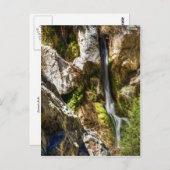 Darwin Herfsten Briefkaart (Voorkant / Achterkant)