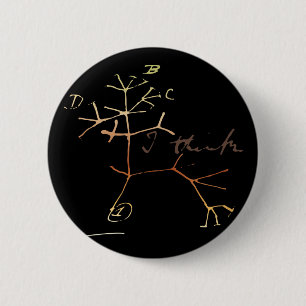 Darwin, ik denk een boom van het leven ronde button 5,7 cm