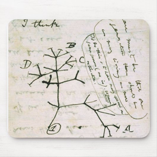 darwin muismat (Voorkant)