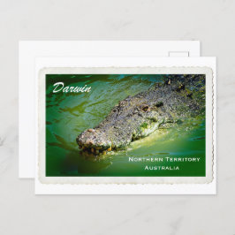 Darwin Northern Territory - Crocodile Briefkaart