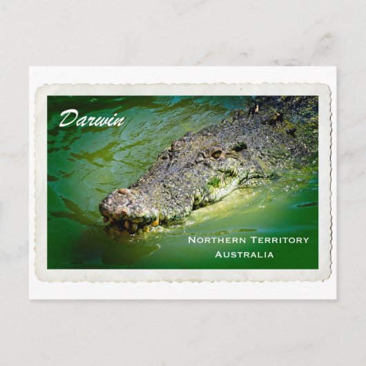Darwin Northern Territory - Crocodile Briefkaart (Voorkant)