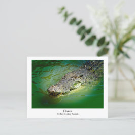 Darwin Northern Territory - Crocodile Briefkaart
