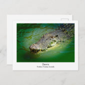 Darwin Northern Territory - Crocodile Briefkaart (Voorkant / Achterkant)